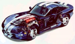 viper_xray.jpg