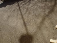 P1010018.JPG
