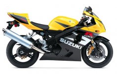 2004_GSXR750yellow.jpg