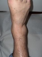 12-03-06 003 sh1.JPG