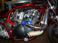 16 mars-06 006.JPG