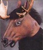 snelelg.jpg