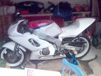 hojen (1).jpg