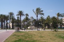 100_18231.JPG