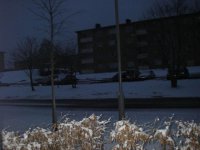 IMGP1030.JPG