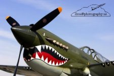SM00024_CurtissP-40WarhawkPMpof5-2004_S3V0720.jpg