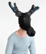 älg.jpg