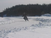IMG_0082_small017.jpg
