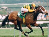 thoroughbred.jpg