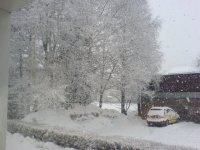 DSC01054.JPG