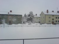 DSC01057.JPG