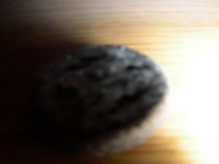 DSCN1161.JPG