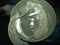 DSC00369 (Medium).JPG