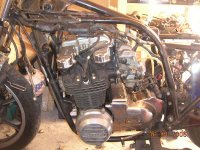 z650_small.JPG