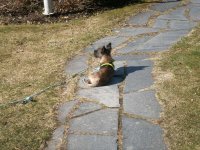 PICT0001.JPG