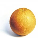 appelsin.jpg