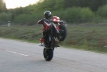 L_IMG_0536.jpg