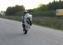 L_IMG_0538.jpg