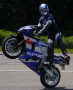 biva_23.jpg