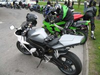 IMG_1204.jpg