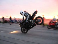 IMG_1248.jpg
