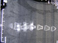 summer05 023 (Medium).jpg