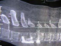 summer05 024 (Medium).jpg
