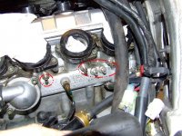 motor.JPG