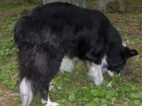 Flashen-sissta turen 013.jpg