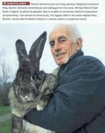 giantrabbit2.jpg