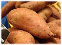 sotpotatis.jpg
