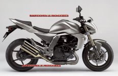 2007_kawasaki_Z1000r.jpg