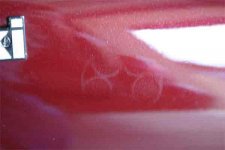 IMG_3407_web.jpg