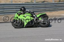 IMG_1230.jpg