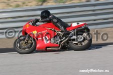 IMG_1246.jpg