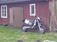 huskey_1024_01.JPG