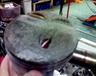 profilDSC00687.jpg