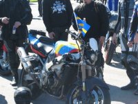 IMG_0252.jpg