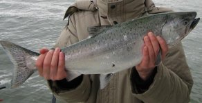 IMG_1660.jpg