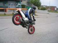 IMG_5817 (Large).JPG