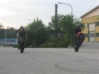 IMG_1288.jpg