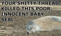 shitty thread.jpg