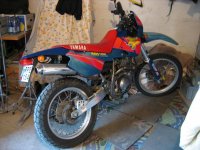 Kopia av IMG_0600.jpg