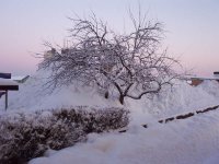 snöö 003.jpg