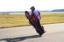 gallery_2_0_73733.jpg