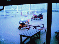 svensk_sommar.gif