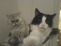 DSC00494.JPG