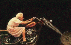 never-to-late.gif