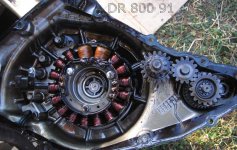 DR800_91.jpg