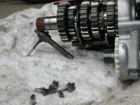 DSCN5783 (1024 x 768).jpg